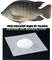 Διαιτητικά βιώσιμα βασισμένα στα ψάρια πεπτίδια σκονών κολλαγόνων