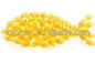 Εδώδιμη σκόνη ζελατίνης ψαριών κλίμακας δερμάτων ψαριών CAS 9000-70-8